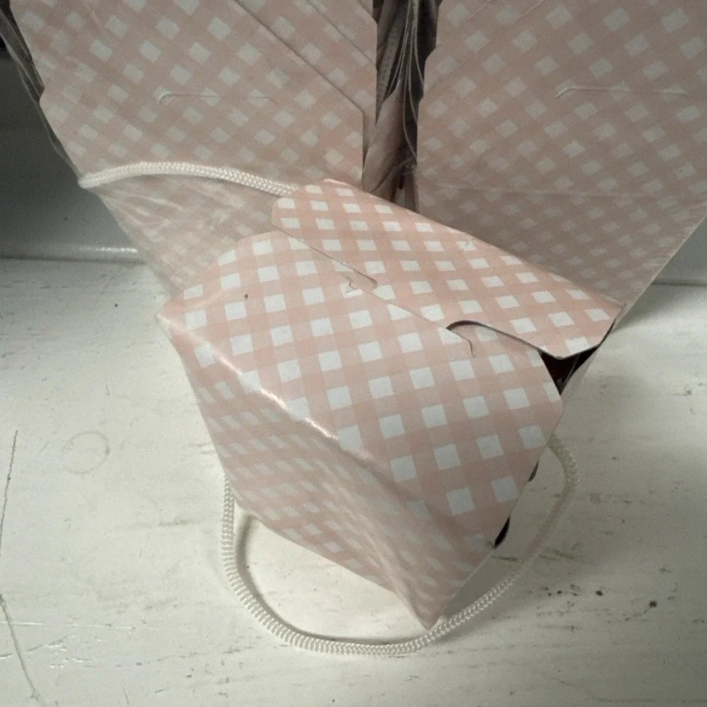 12 Mini Take Out Boxes Gingham Pink White Check W/ Rope Handle Goody Party Favor
